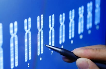 DNA Profiling Test