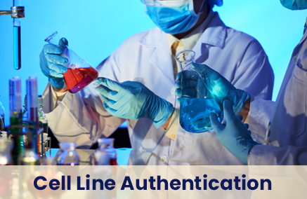 Cell Line Authentication