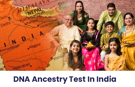 Ancestry DNA Test
