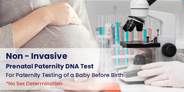 DNA Test While Pregnant