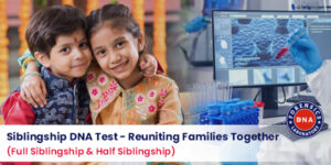 Get Sibling DNA Testing for Legal or Personal Use