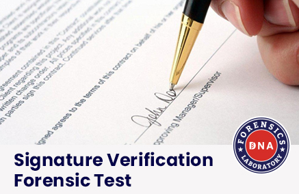 Signature Verification